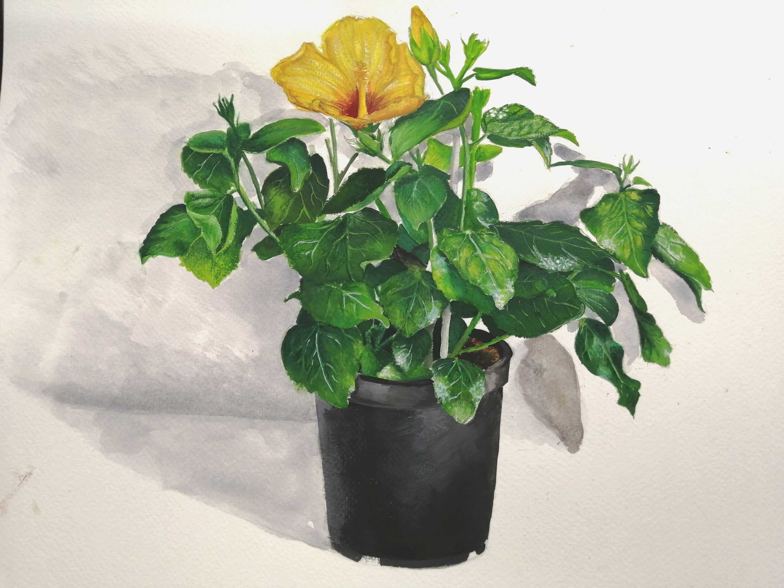 clemence_goin-_atelierb_peinture-scaled.jpg
